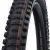 Schwalbe Big Betty Evo Super Gravity 29" Addix Soft E-50 Pneus Pliants