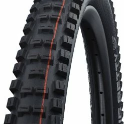 Schwalbe Big Betty Evo Super Gravity 29" Addix Soft E-50 Pneus Pliants