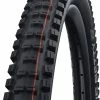 Schwalbe Big Betty Evo Super Ground 20x2,25" Addix Soft E-50 Pneus Pliants