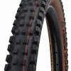 Schwalbe Magic Mary Evo Super Gravity 29x2,40" Addix Soft E-25 Pneus Pliants